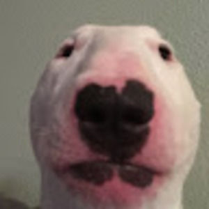 Meet your Posher, Luke